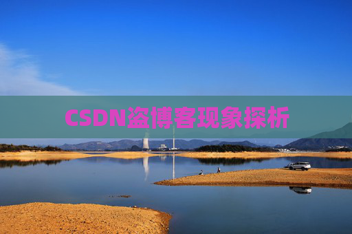 CSDN盗博客现象探析